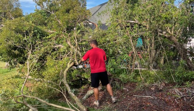 demo clean up st johns fl